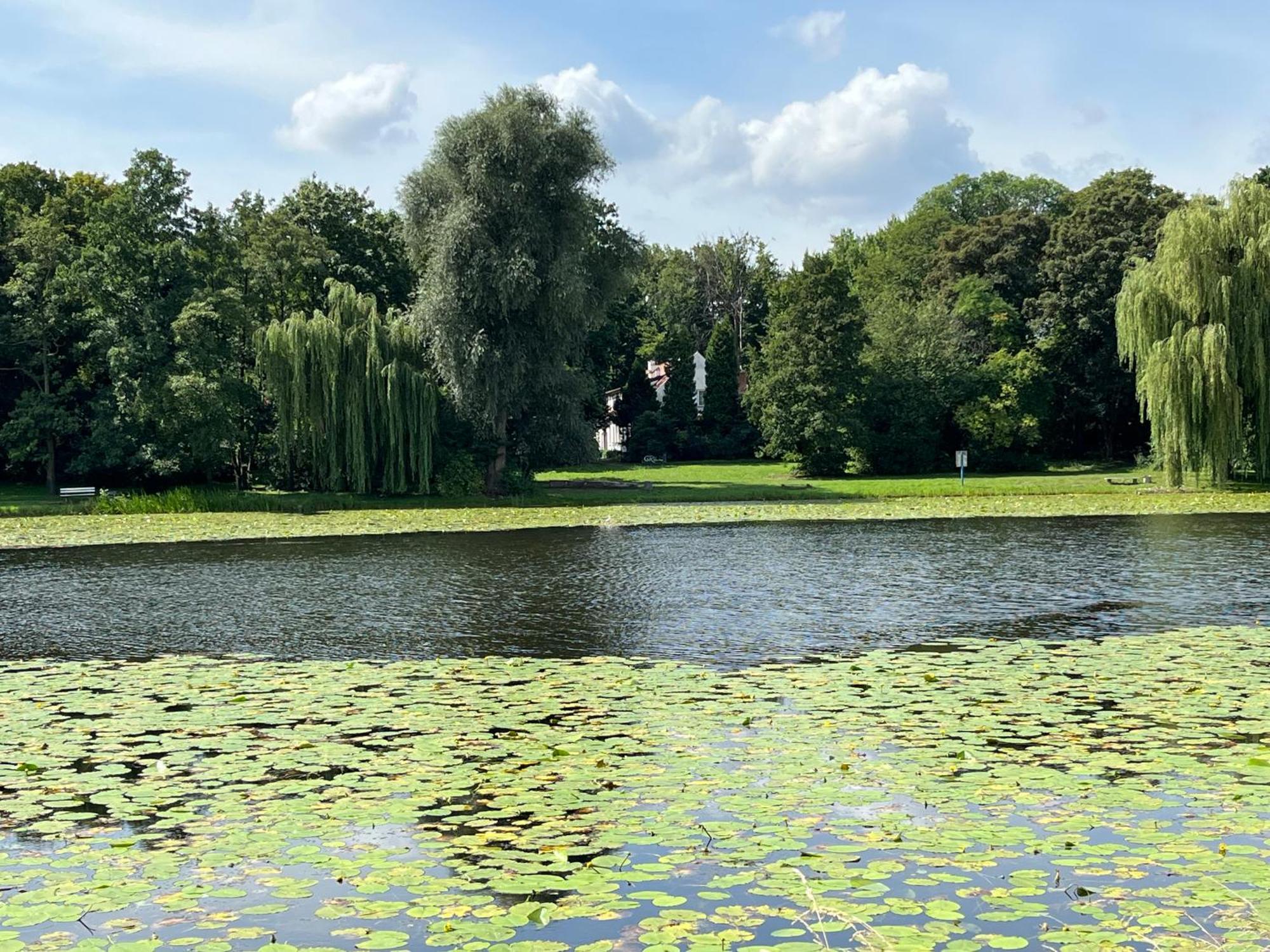 Dedek Park - Historyczny Dworek W Pieknym Parku Skaryszewskim Obok Stadionu Narodowego Varsavia Esterno foto