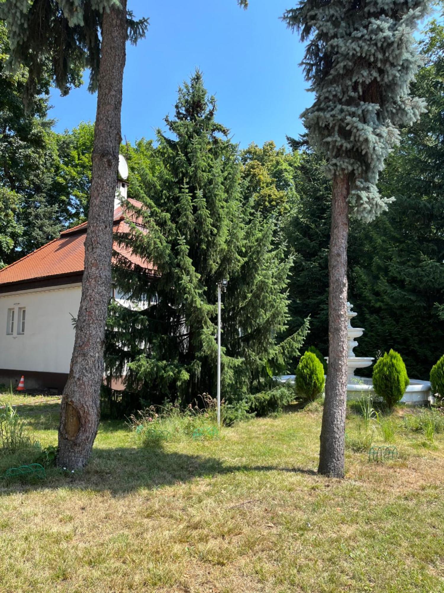 Dedek Park - Historyczny Dworek W Pieknym Parku Skaryszewskim Obok Stadionu Narodowego Varsavia Esterno foto