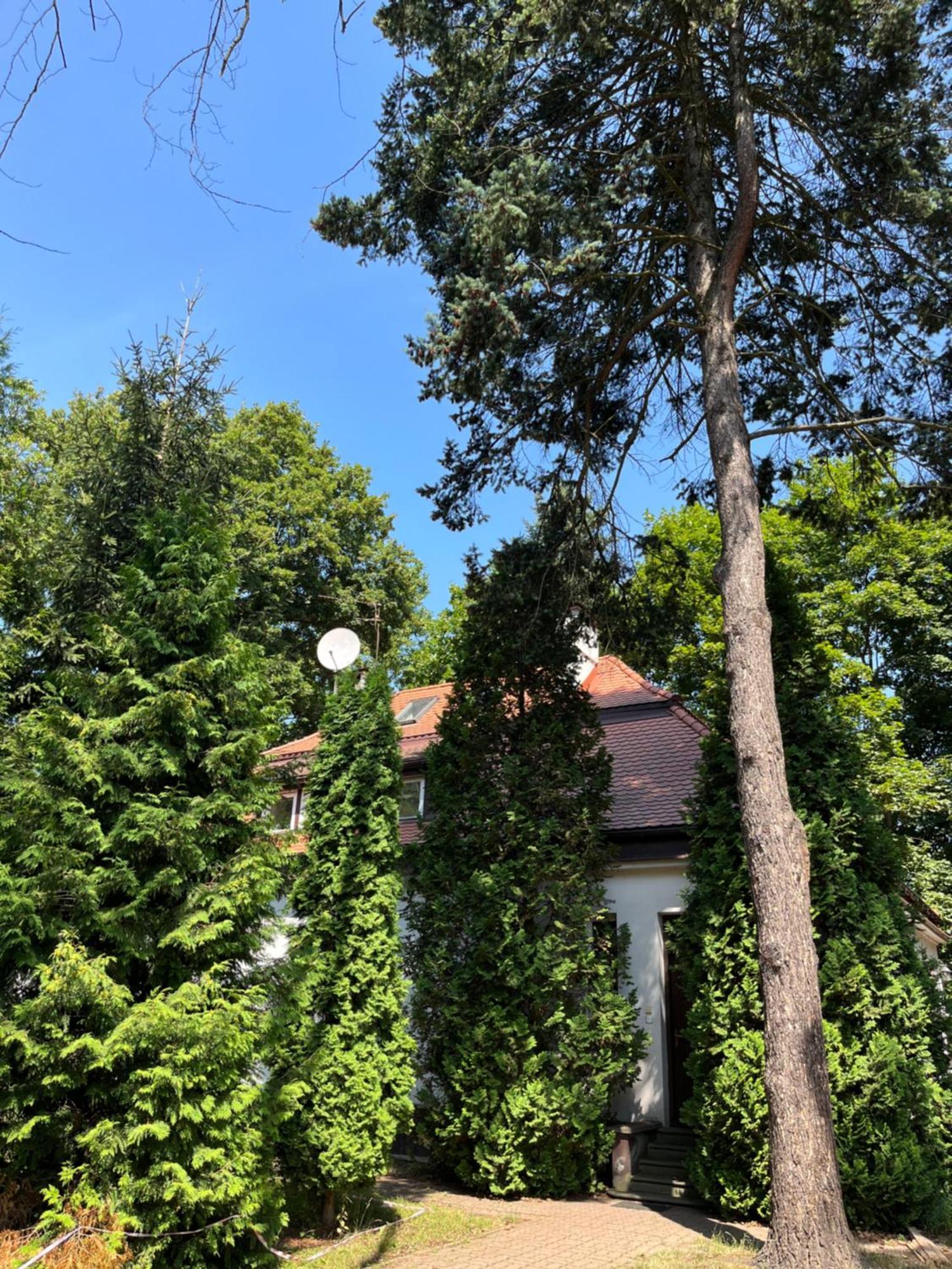 Dedek Park - Historyczny Dworek W Pieknym Parku Skaryszewskim Obok Stadionu Narodowego Varsavia Esterno foto